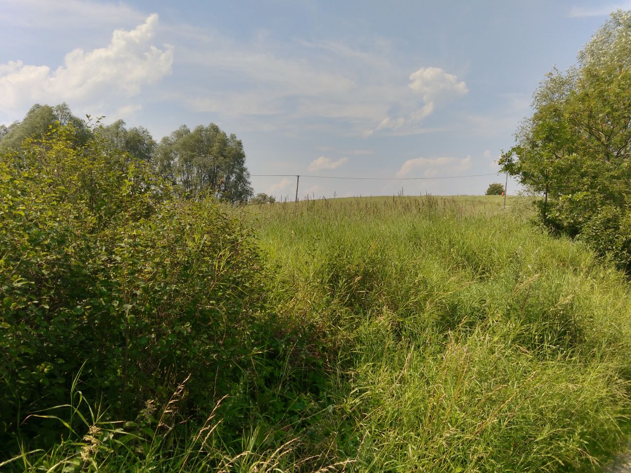 Działka rolno-budowlana Nowa Różanka. Zdjęcie 3