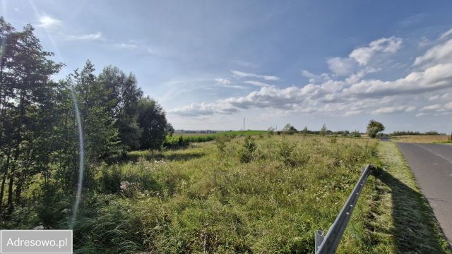 Działka rolna Zbójno. Zdjęcie 1