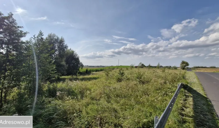 Działka rolna Zbójno