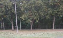 Działka budowlana Rozalin, ul. Winogronowa. Zdjęcie 2