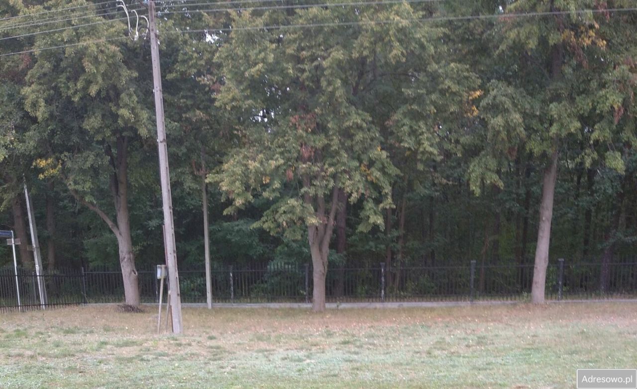Działka budowlana Rozalin, ul. Winogronowa. Zdjęcie 3
