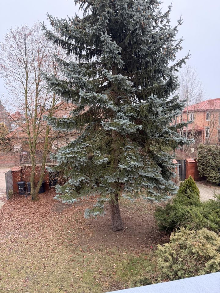 Mieszkanie 1-pokojowe Łomianki Łomianki Górne, Jaśminowa. Zdjęcie 15