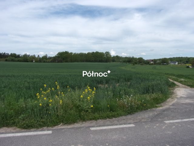 Działka rolna Wartowice. Zdjęcie 4