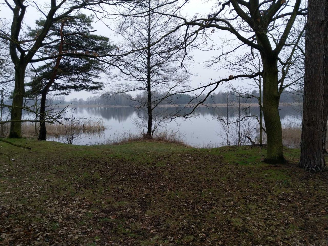 Działka budowlana Choinek. Zdjęcie 5