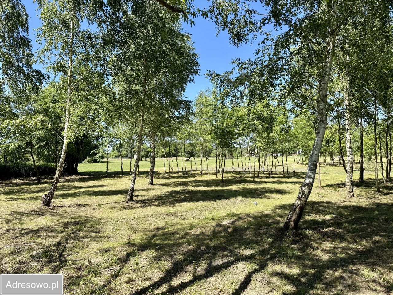 Działka budowlana Antoninów. Zdjęcie 11