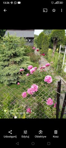 Działka rod Radom Glinice, ul. Odrodzenia. Zdjęcie 1