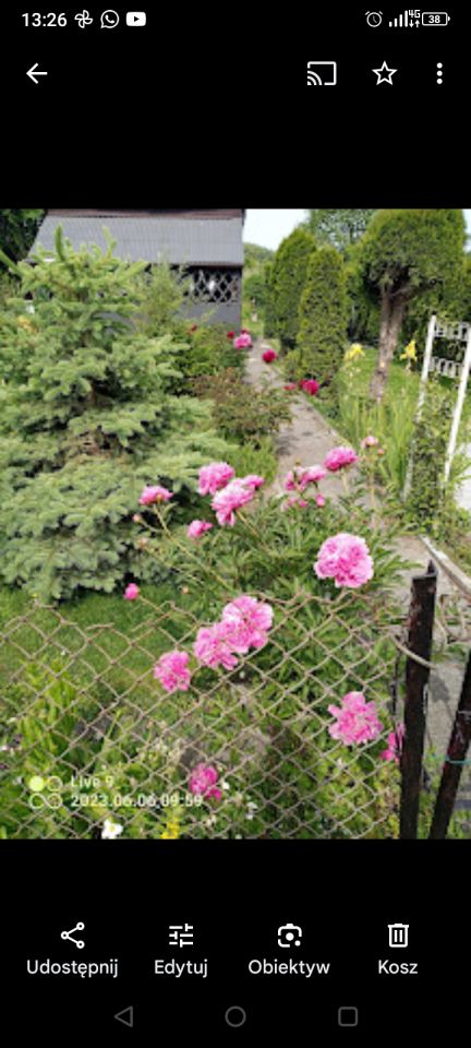 Działka rod Radom Glinice, ul. Odrodzenia