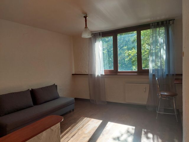 Mieszkanie 1-pokojowe Wrocław Stare Miasto, ul. Ścinawska. Zdjęcie 1