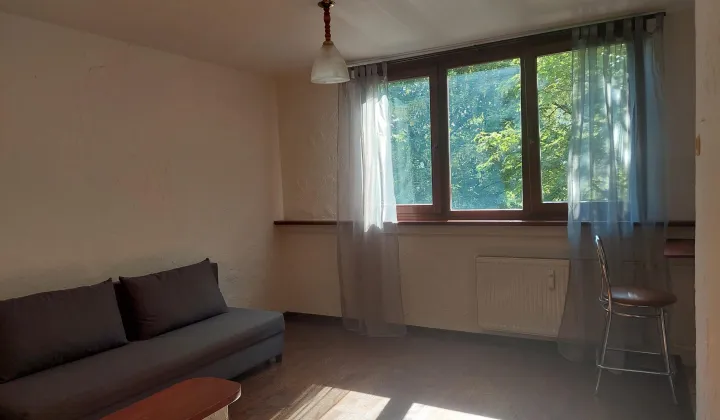 Mieszkanie 1-pokojowe Wrocław Stare Miasto, ul. Ścinawska