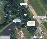 Działka Tomaszówka. Zdjęcie 4