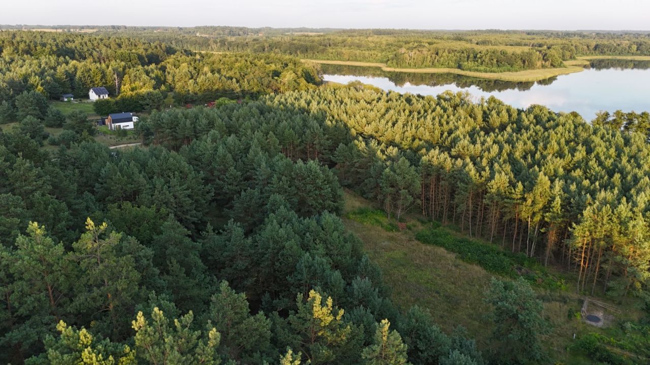Działka rekreacyjna Jelenin. Zdjęcie 2