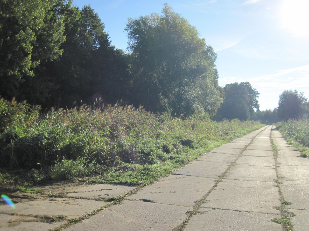 Działka rolna Klejnowo. Zdjęcie 6