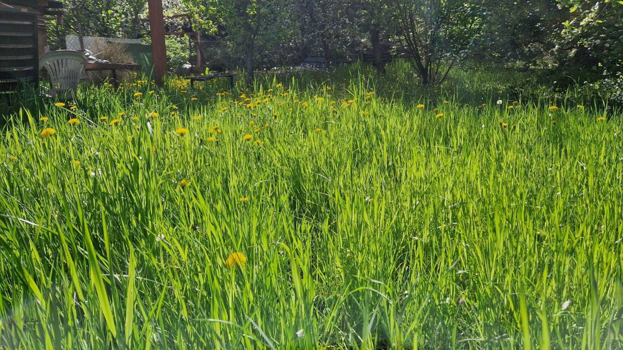 Działka rod Świdnica. Zdjęcie 6