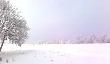 Działka inwestycyjna Wykroty