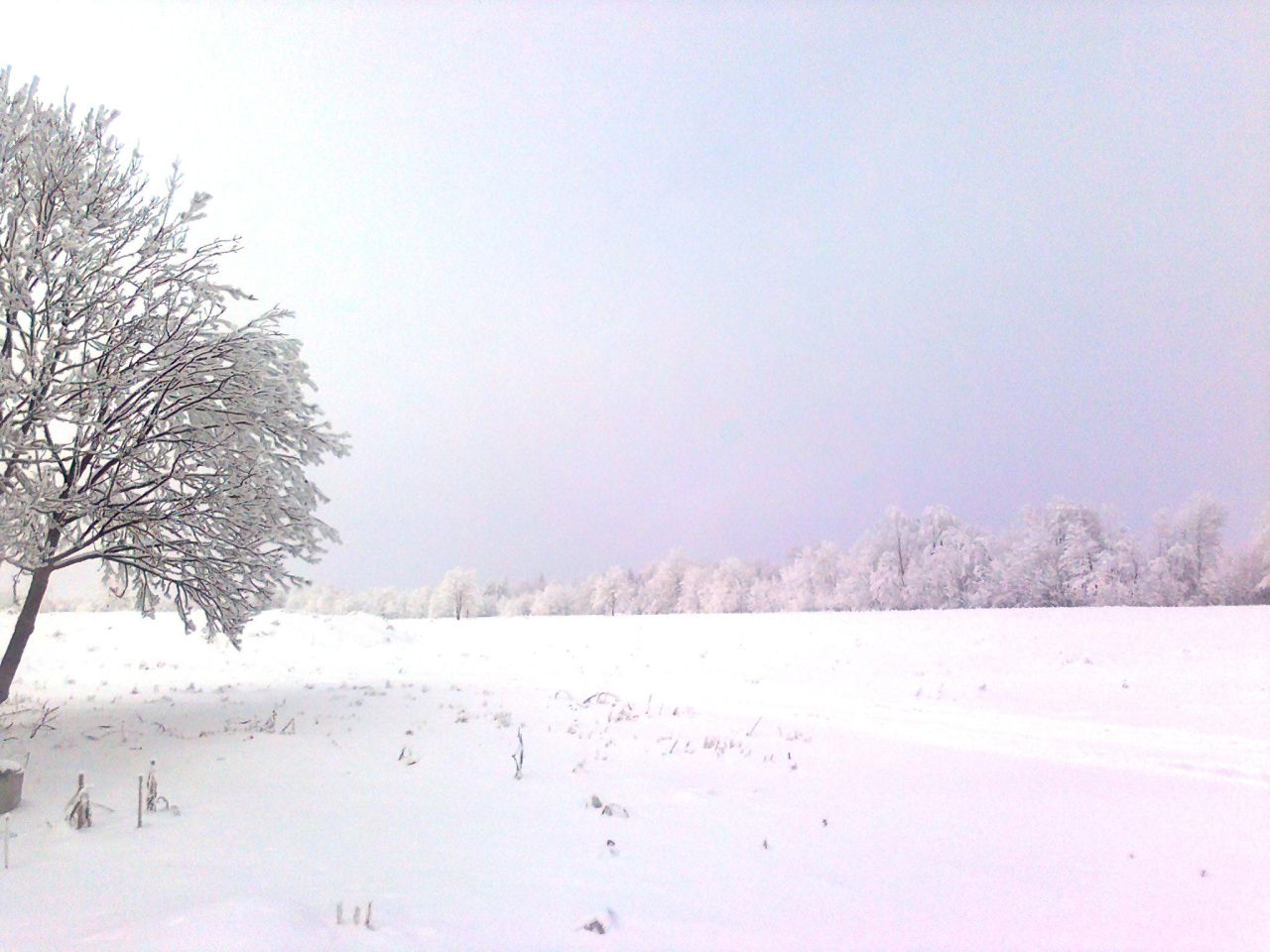 Działka inwestycyjna Wykroty. Zdjęcie 2