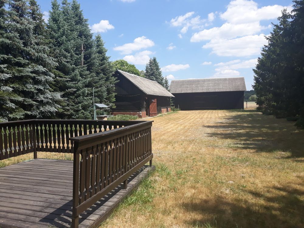 Działka rolno-budowlana Perkowice. Zdjęcie 8