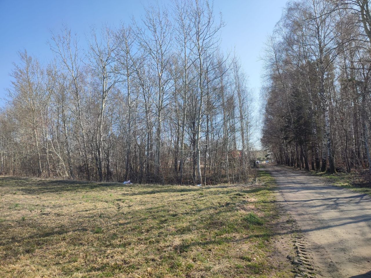 Działka siedliskowa Ostrowiec. Zdjęcie 8