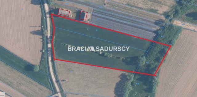 Działka siedliskowa Popędzyna. Zdjęcie 4