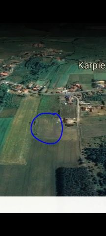 Działka budowlana Karpie. Zdjęcie 7