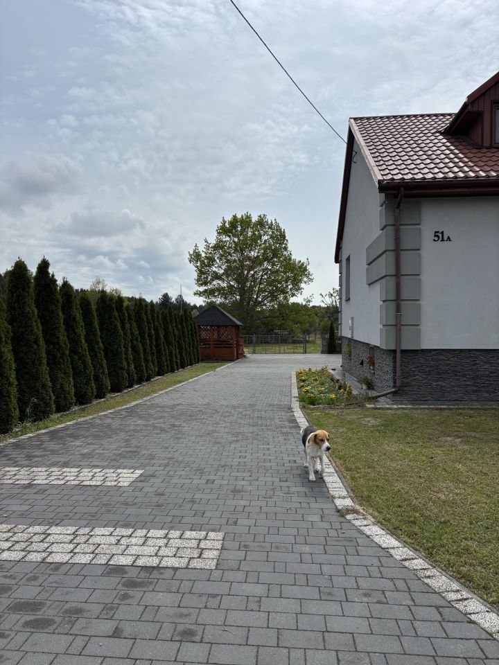 dom wolnostojący, 6 pokoi Wincentów. Zdjęcie 24