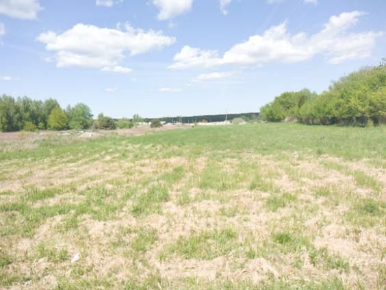 Działka budowlana Zajączków. Zdjęcie 4