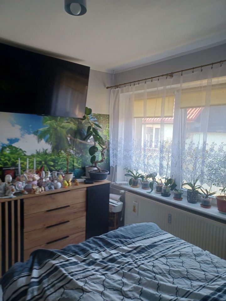 bliźniak Pęckowo. Zdjęcie 3