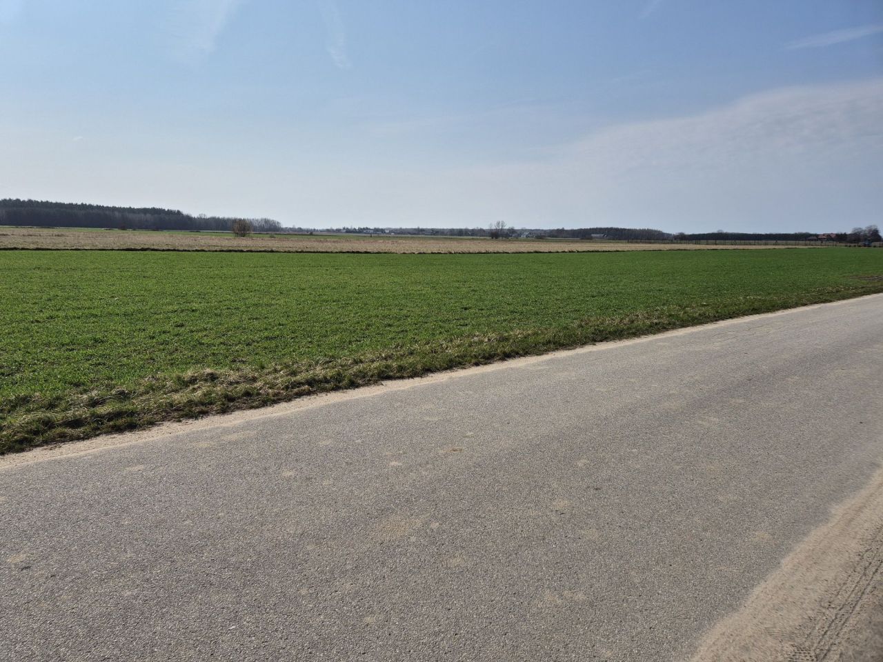 Działka budowlana Wola Bachorska. Zdjęcie 5