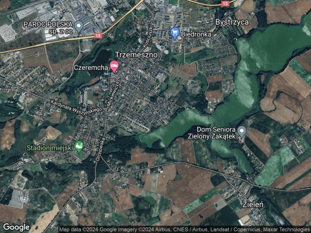 dom wolnostojący, 5 pokoi Trzemeszno, ul. Długa. Zdjęcie 1