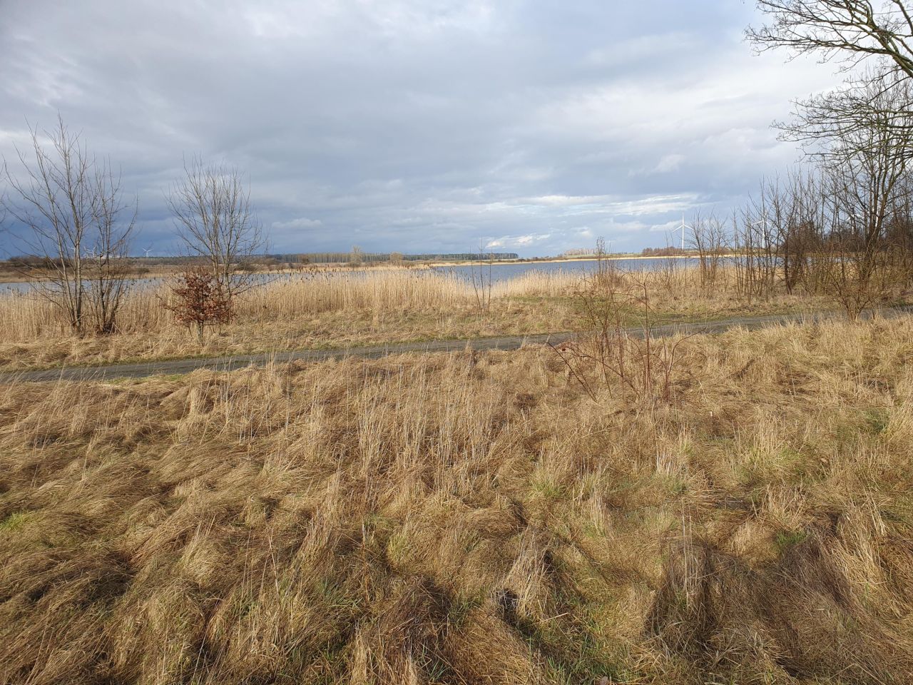 Działka rekreacyjna Czarnowo. Zdjęcie 9