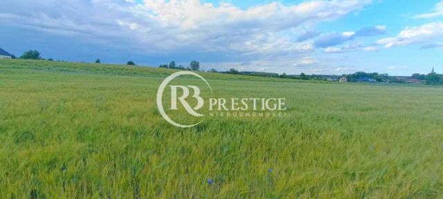 Działka budowlana Bielkowo. Zdjęcie 1