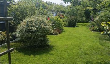 Działka rod Gdynia Obłuże, ul. Zielona