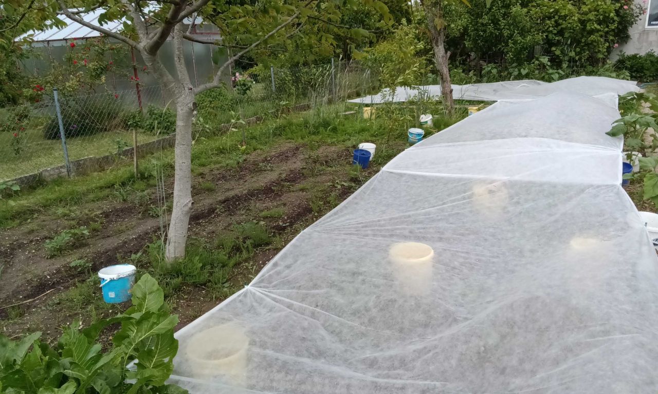 Działka rod Koszalin, ul. Holenderska. Zdjęcie 8