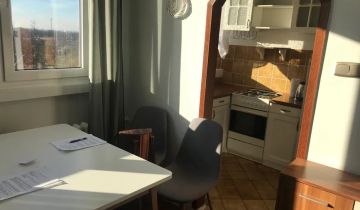 Mieszkanie 2-pokojowe Polkowice