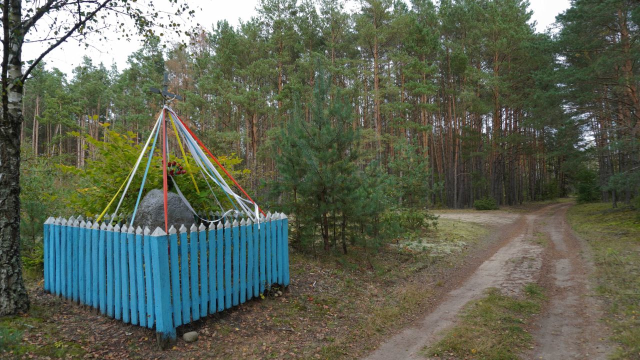 Działka budowlana Rogóźnia. Zdjęcie 5