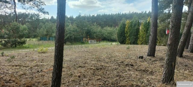 Działka budowlana Chomiąża Szlachecka. Zdjęcie 1