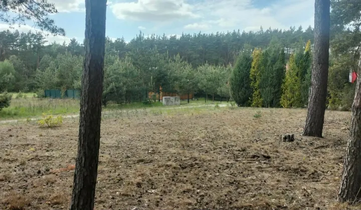 Działka budowlana Chomiąża Szlachecka