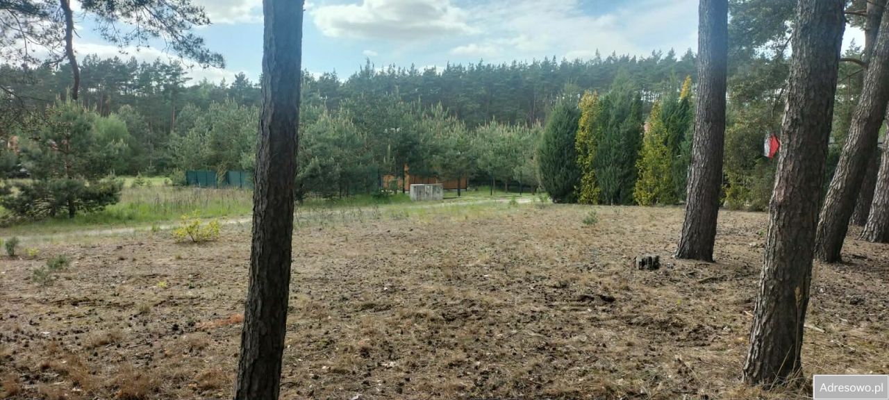 Działka budowlana Chomiąża Szlachecka. Zdjęcie 1