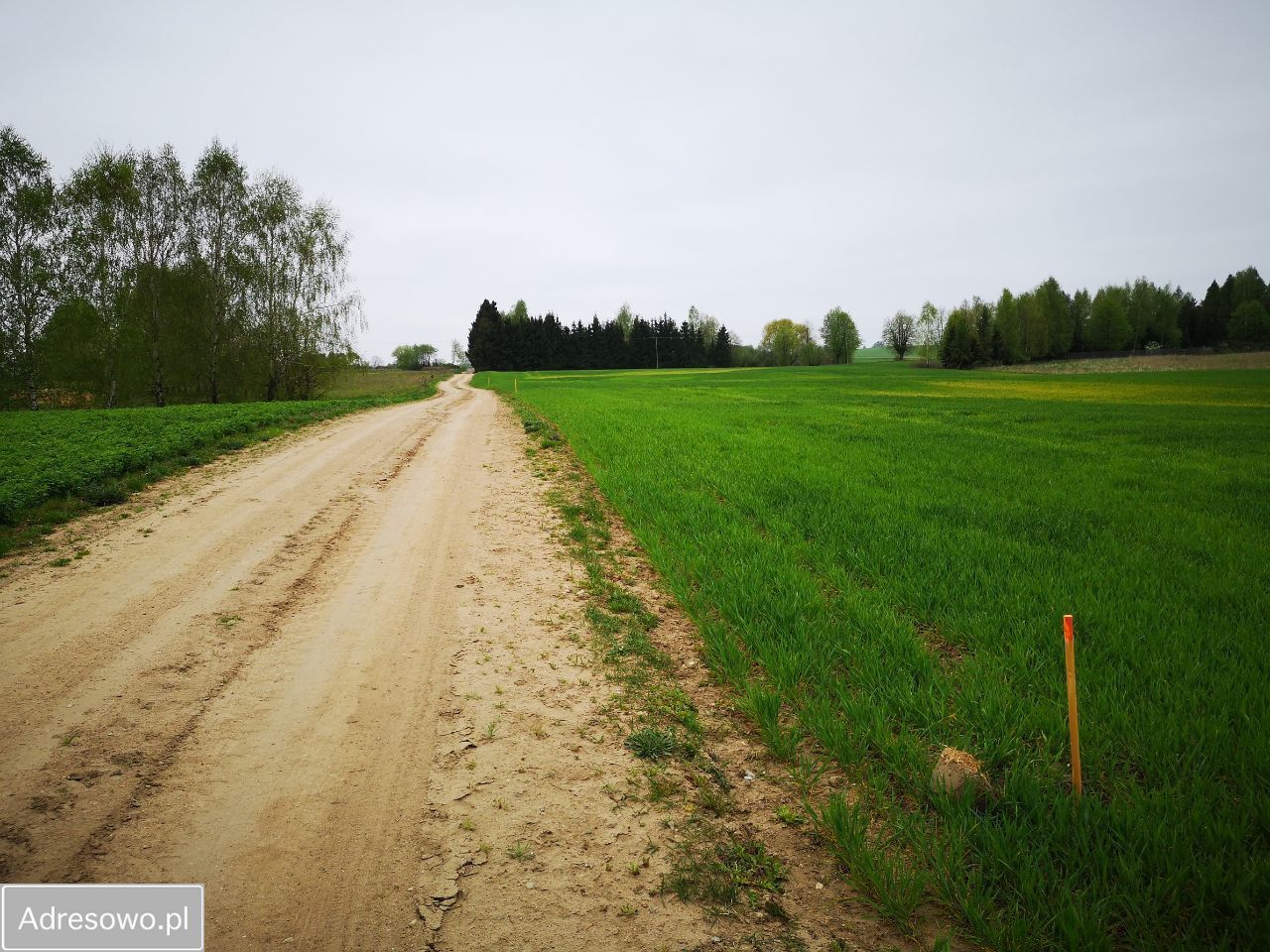 Działka rolna Tałty. Zdjęcie 5