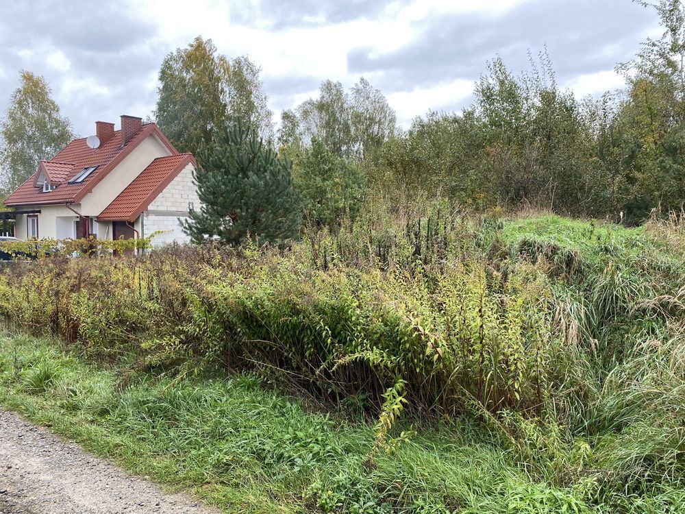 Działka budowlana Skuły, ul. Jaworowa. Zdjęcie 3