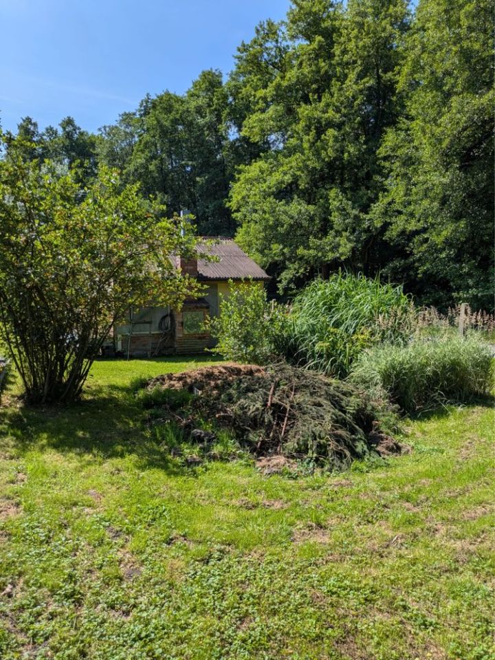 Działka rod Czernica, ul. Stara. Zdjęcie 2