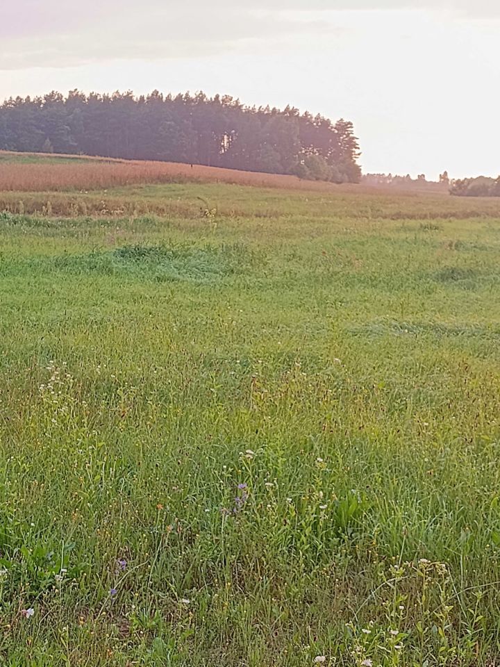 Działka rekreacyjna Nowa Kiszewa. Zdjęcie 3