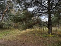 Działka budowlana Stare Wierzchowo. Zdjęcie 3