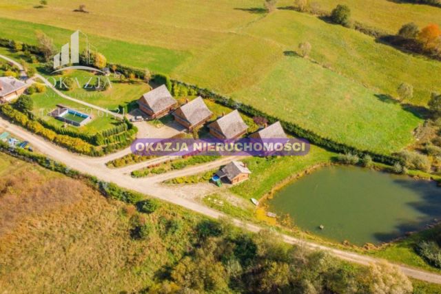 Lokal Równia. Zdjęcie 17