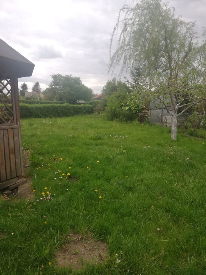 Działka rod Wołomin, ul. Kurkowa. Zdjęcie 1