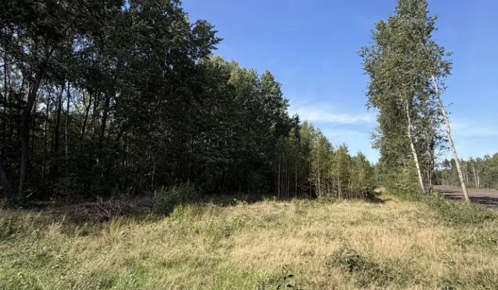 Działka rekreacyjna Pustelnik