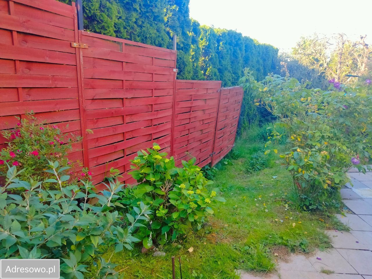 dom wolnostojący, 4 pokoje Gdynia Mały Kack. Zdjęcie 4