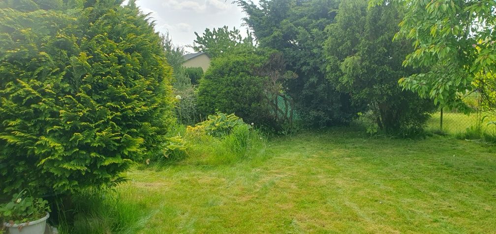 Działka rod Gdynia Babie Doły, ul. Zielona. Zdjęcie 7