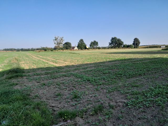 Działka budowlana Kuropas. Zdjęcie 1