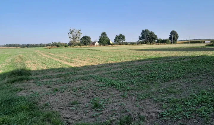 Działka budowlana Kuropas