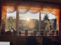 dom wolnostojący, 4 pokoje Kraków Prądnik Czerwony, ul. Wiejska. Zdjęcie 4